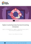 Digital marketing maturity audit templates